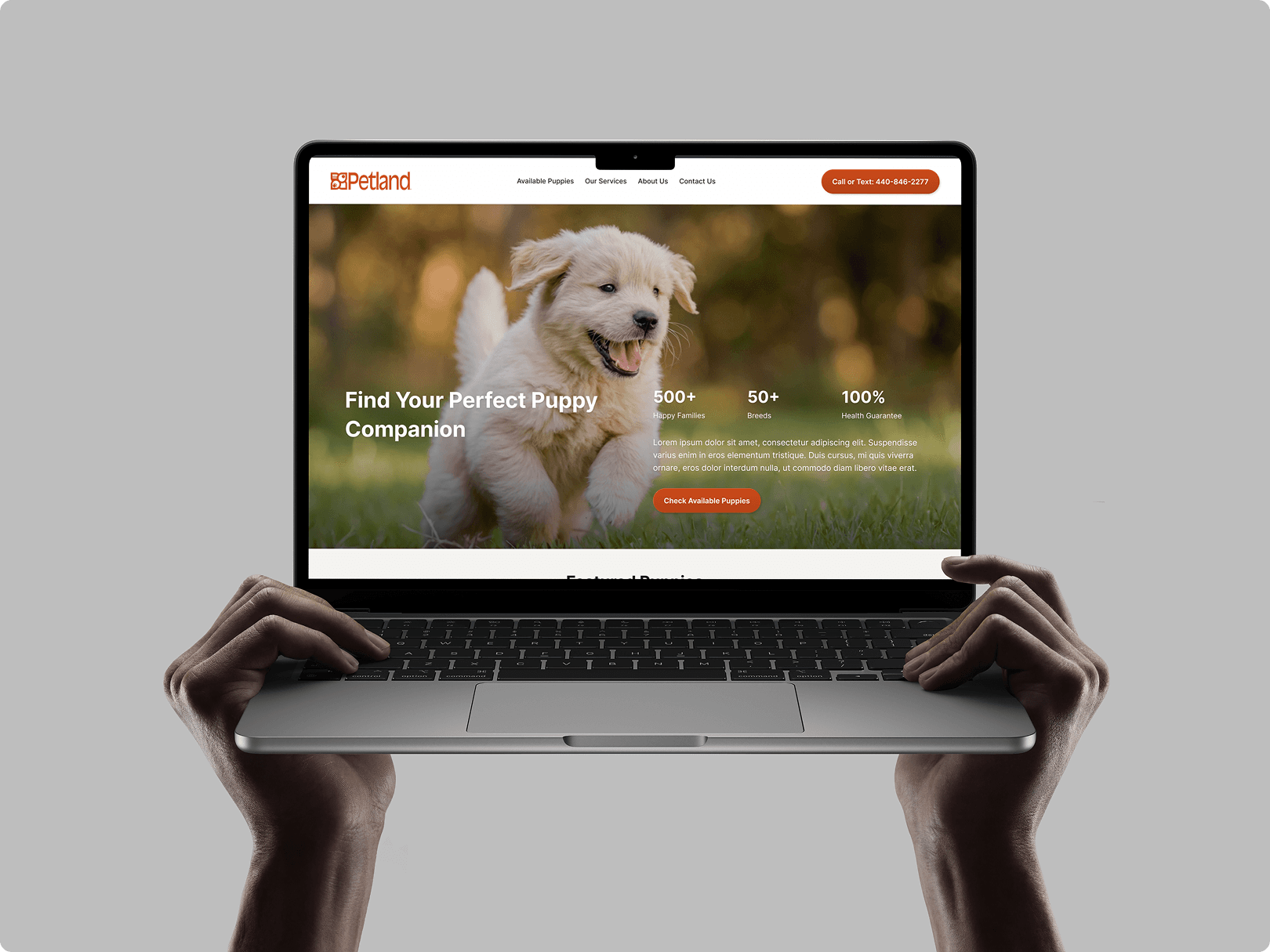 Petland homepage design strategy mockup