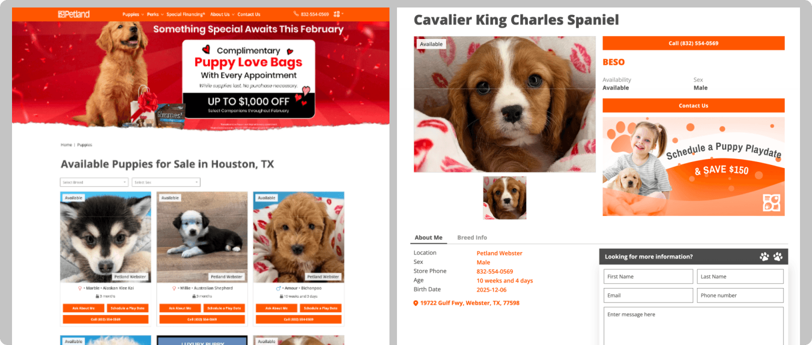 Current-state friction on Petland listing and detail pages
